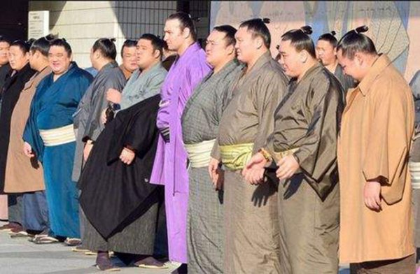 日本的相扑是什么意思