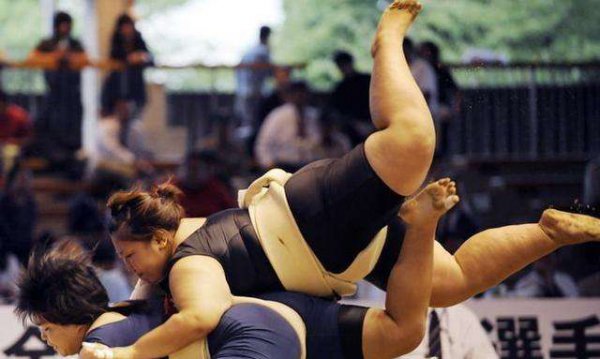 日本的相扑是什么意思