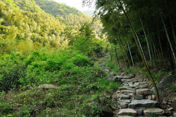 本草纲目谁写的