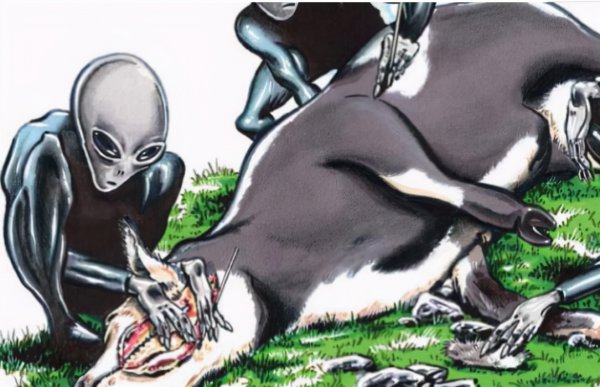 外星人屠牛事件真假