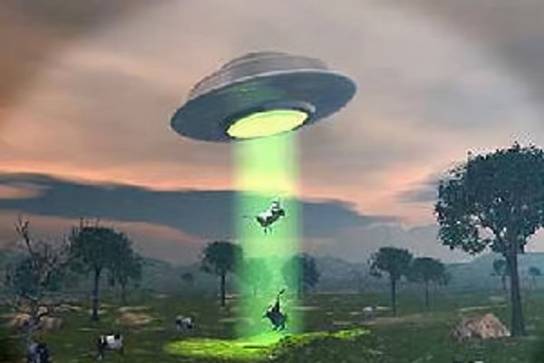 外星人屠牛事件真假