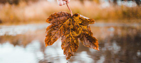 眼光独到的字面含义