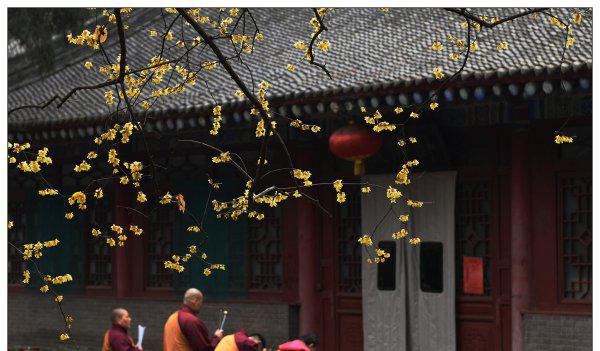 步步生莲典故怎么来的