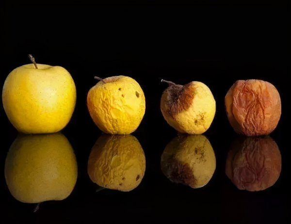 人死在太空中会腐烂吗