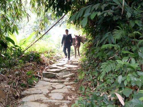 坐缸圆寂是什么意思