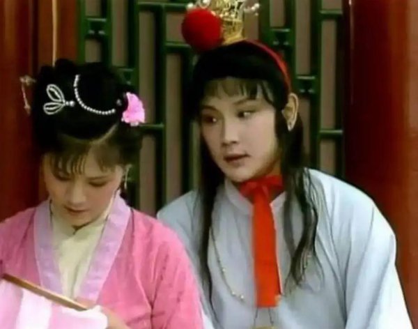 红楼梦贾宝玉和袭人是什么关系