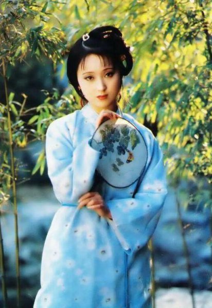 曹雪芹红楼梦写到哪里