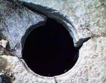 珍妃为什么不自己爬上来