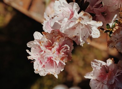 感情中超过三天不联系 情侣谈恋爱超过三天不联系怎么办