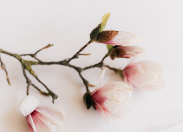 感情中超过三天不联系