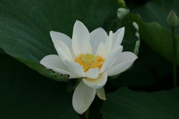 不换头像的男生是怎么样的人