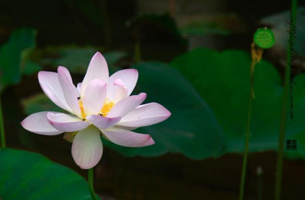 不换头像的男生是怎么样的人