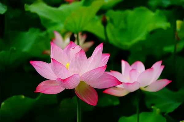 不换头像的男生是怎么样的人