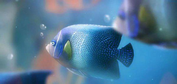 为什么鱼离开水会死