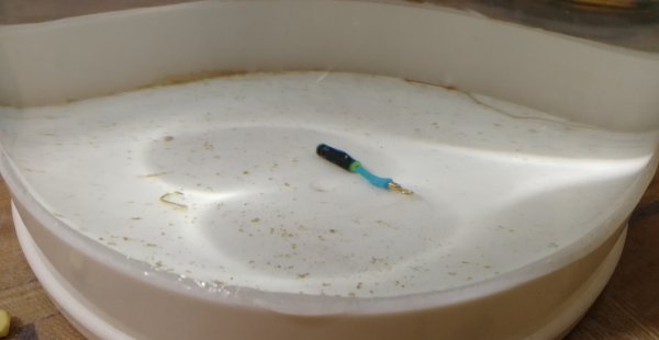 钓鱼浮漂怎么调试正确