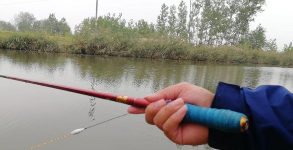 钓鱼浮漂怎么调试正确