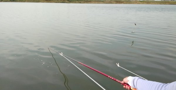 钓鱼浮漂怎么调试正确