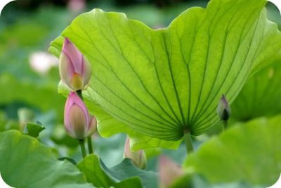 磨难多的人命里是大修行人 修行人受大磨难是成就的前