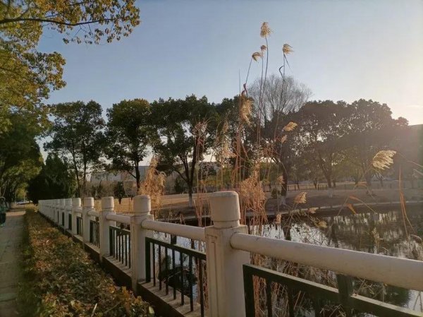 南京师范大学是几本