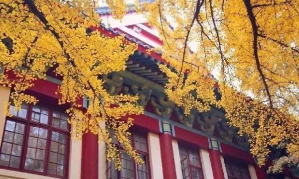 南京师范大学是几本