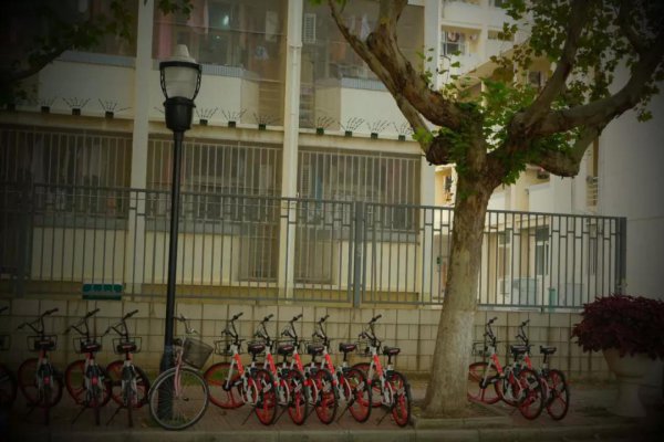 南京师范大学是几本