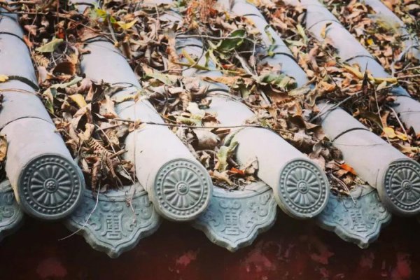 南京师范大学是几本