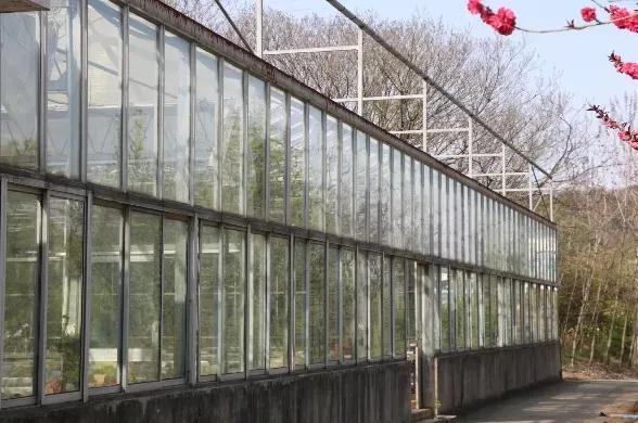 南京师范大学是几本