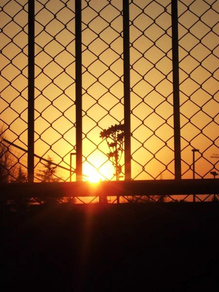 南京师范大学是几本