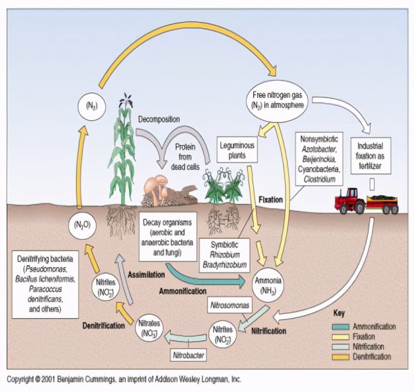 人死后有灵魂吗