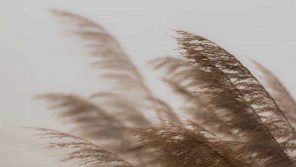 司南讲的是什么故事