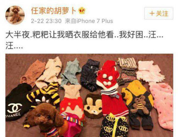 任嘉伦胡萝卜事件是什么