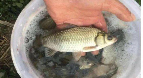 现在钓鱼钓深水好还是浅水好