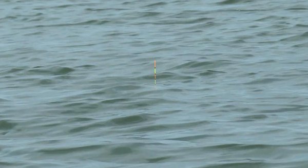 用蚯蚓钓鲫鱼怎样调漂正确