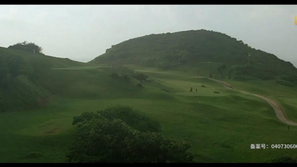 夺帅最后是谁杀了他们