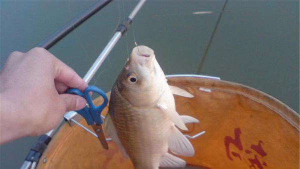 路滑钓鱼怎么调漂