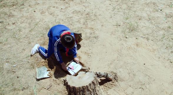 巴王超过人物形象