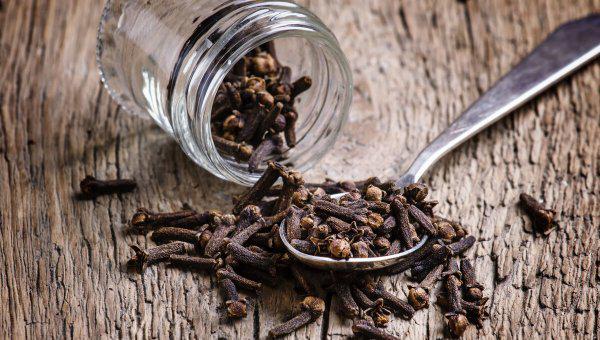 钓鱼为什么禁止用丁香