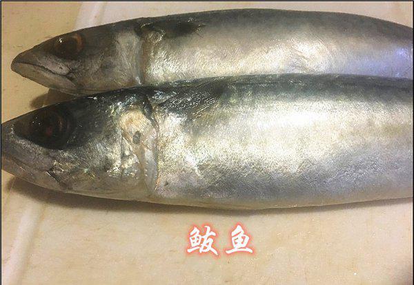 鲭鱼和鲅鱼的区别