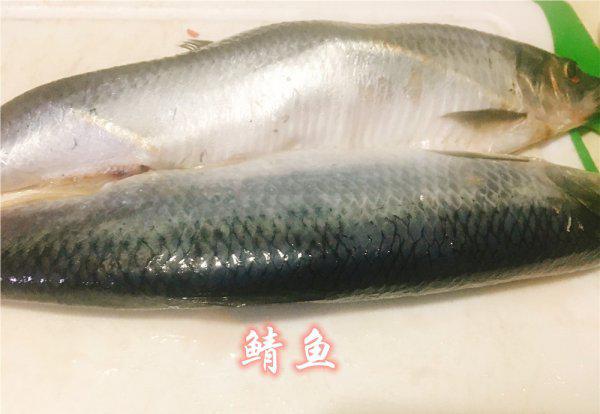 鲭鱼和鲅鱼的区别