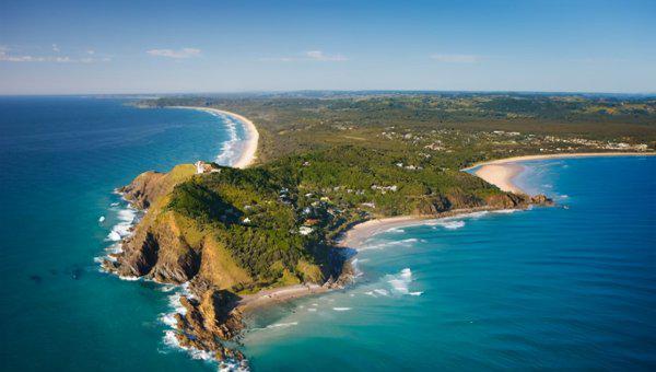 虎鲸是哺乳动物吗