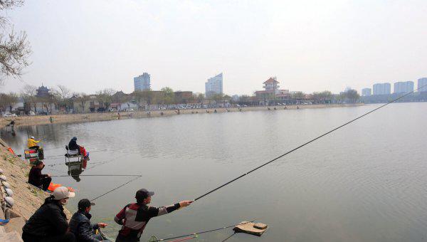 鱼怎么受精繁殖下一代