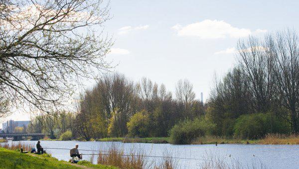 鱼怎么受精繁殖下一代