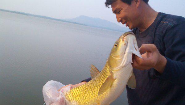 钓草鱼钓底还是钓浮