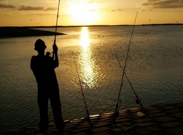 天气热钓鱼钓深还是浅好