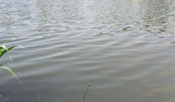 天气热钓鱼钓深还是浅好