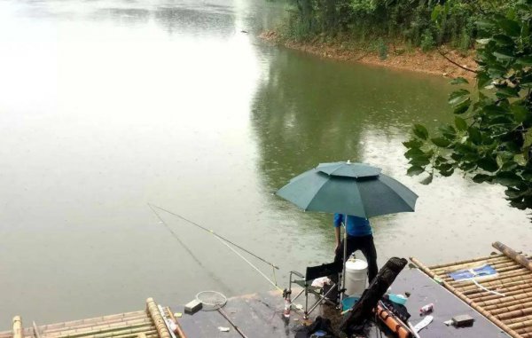 天气热钓鱼钓深还是浅好