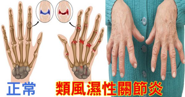 壁虎喜欢在什么环境下生存