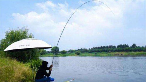 手竿怎么钓鲢鳙最好