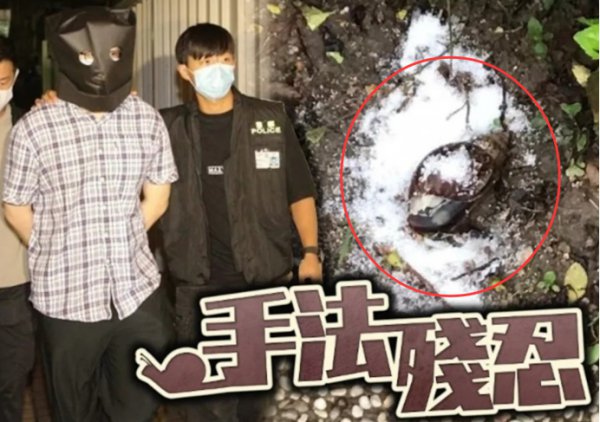 蜗牛是保护动物吗