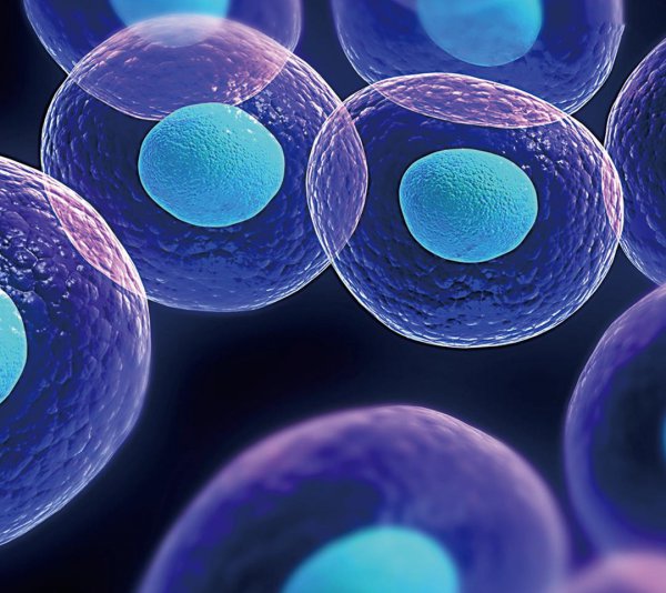 人在棺材腐烂过程图片